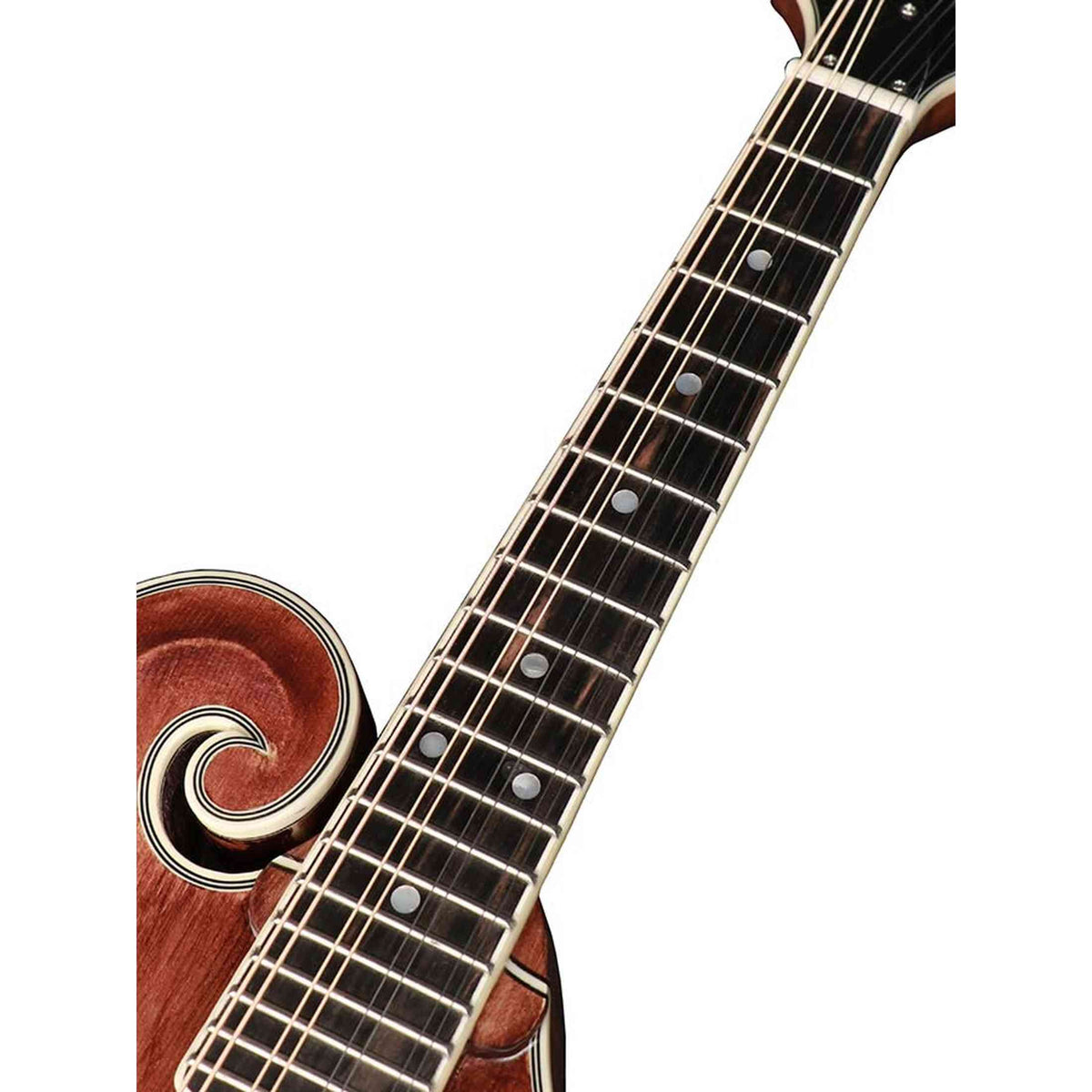 Richwood RMF-220-WN F-Style Mandoline – Massief Sparren & Gevlamd Esdoorn, Satijn Walnoot