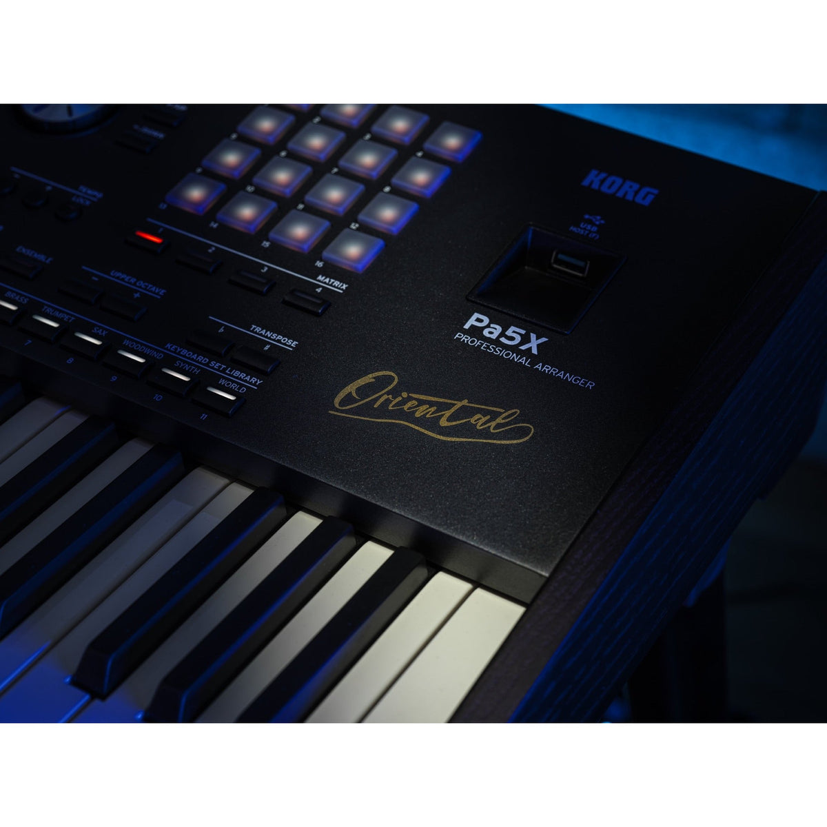 Korg Pa5X 61 ORIENTAL Arranger Keyboard met Aftertouch en Oosterse Sounds