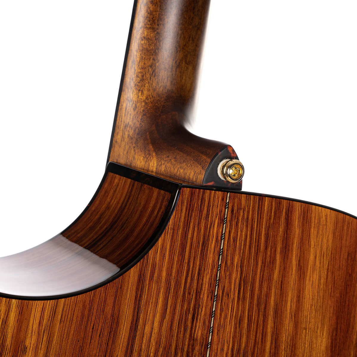 Cort Luxe Nylon Frank Gambale Signature – Massief Blackwood, Nylon Snaren & Fishman Flex Blend
