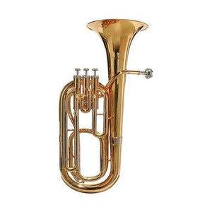 Tenorhoorns