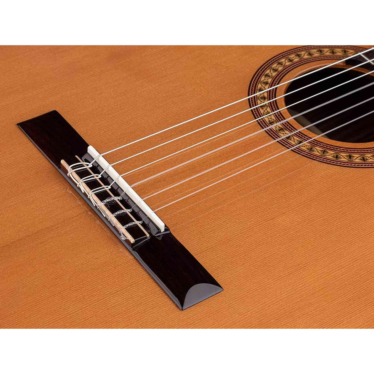 Salvador Cortez CC-50 – Klassieke gitaar met massief ceder bovenblad en palissander body