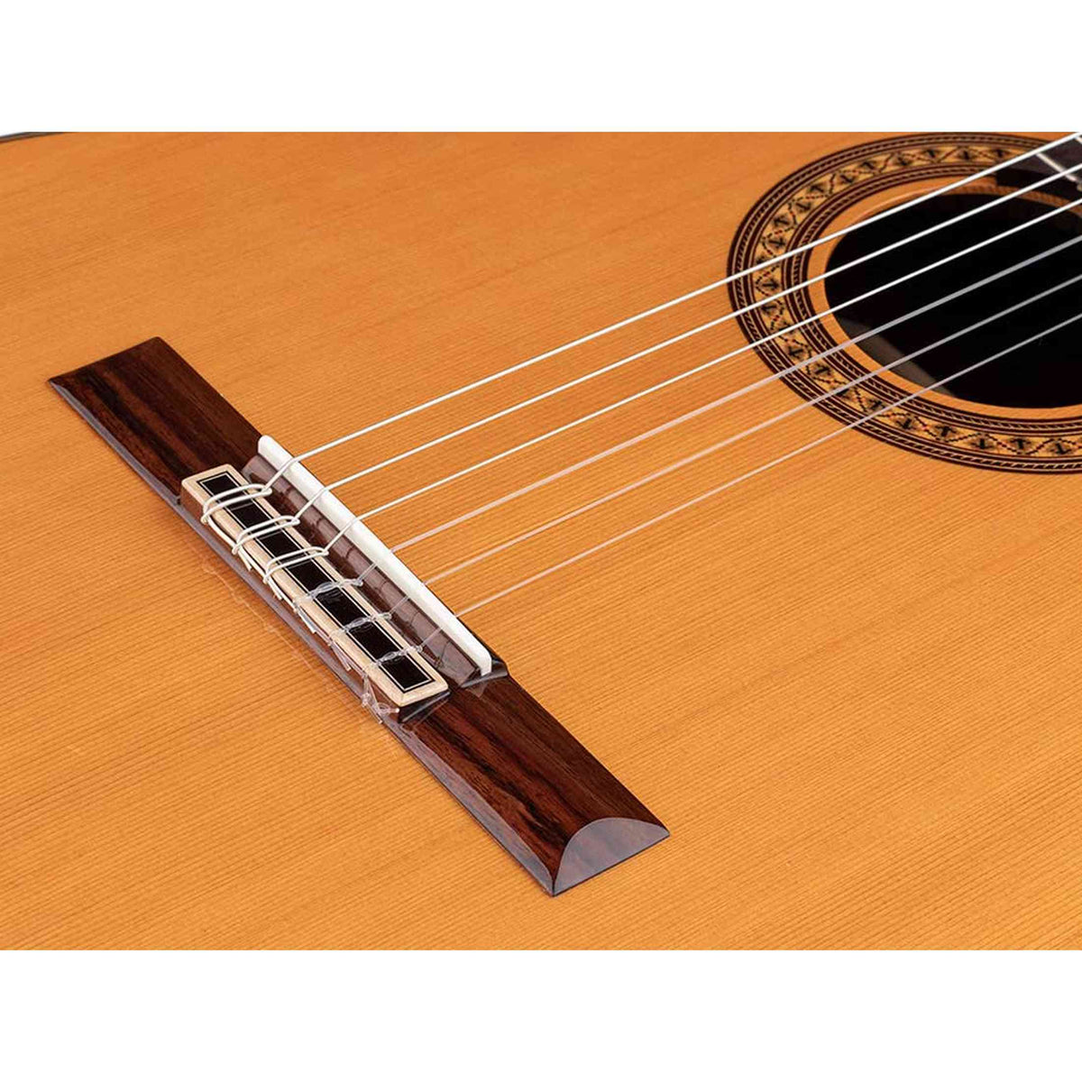 Salvador Cortez CC-60CE – Klassieke gitaar met massief ceder bovenblad, cutaway en Fishman elektronica