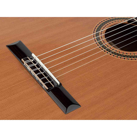 Salvador Cortez CC-80 – Klassieke gitaar met massief ceder bovenblad en mahonie body