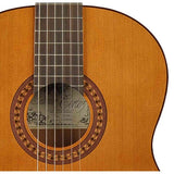 Salvador Cortez CC-22E – Klassieke gitaar met massief ceder bovenblad, sapele body en Fishman elektronica