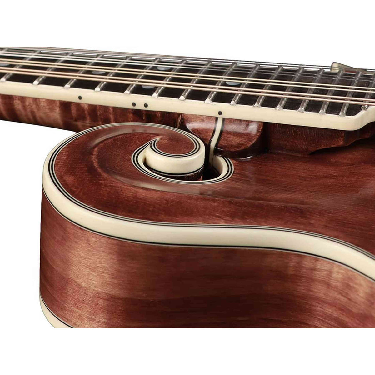 Richwood RMF-220-WN F-Style Mandoline – Massief Sparren & Gevlamd Esdoorn, Satijn Walnoot