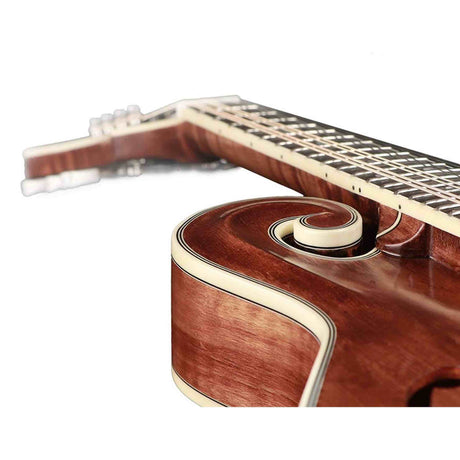 Richwood RMF-220-WN F-Style Mandoline – Massief Sparren & Gevlamd Esdoorn, Satijn Walnoot