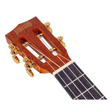 Mahalo MJ3TBRK Java Series Tenor Ukulele Pakket Transparant Bruin