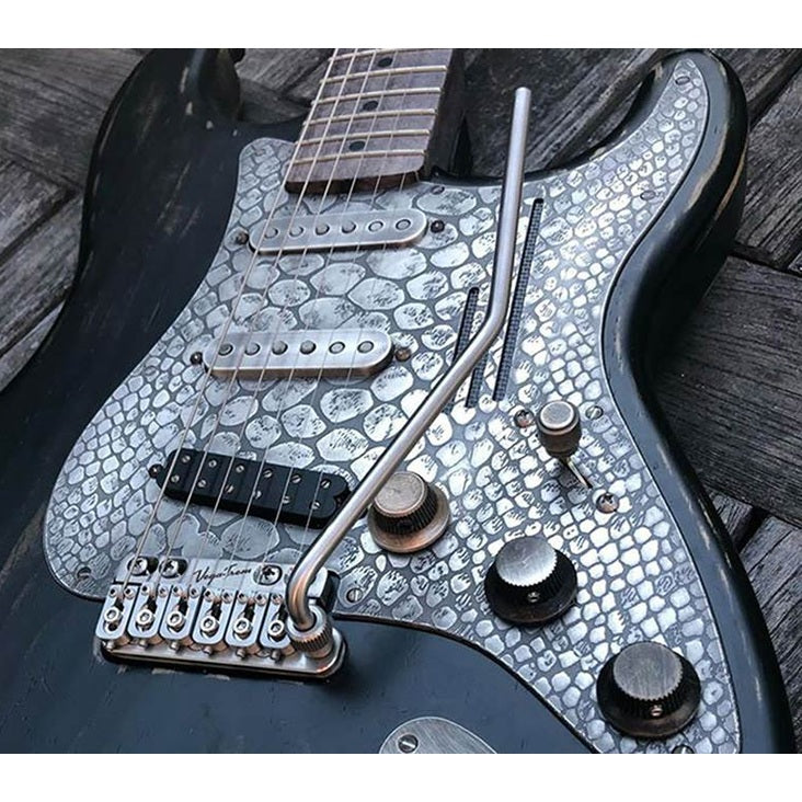 VegaTrem VT1 UltraTrem 2-Punt Tremolo Systeem - Satin RVS