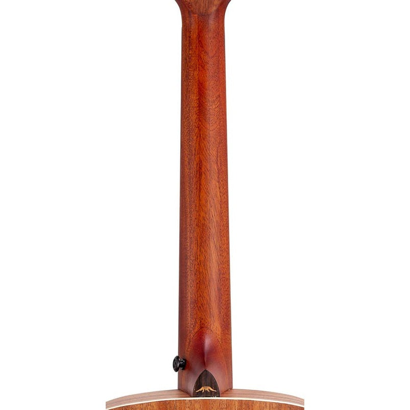 Bromo BAA2 Appalachian Series auditorium naturel akoestische western gitaar