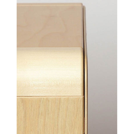 Sela SEL010 CaSela Pro Cajon