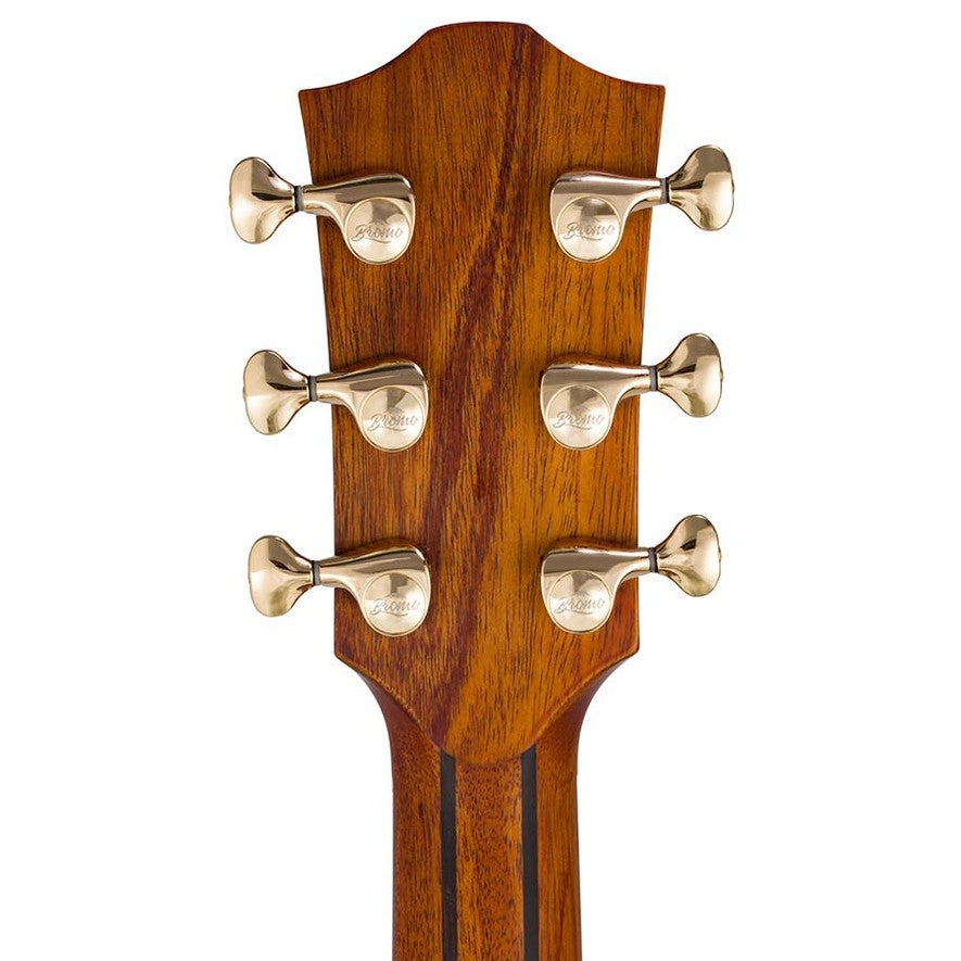 Bromo BAN2CE Danali Series Grand Auditorium Semi akoestische gitaar
