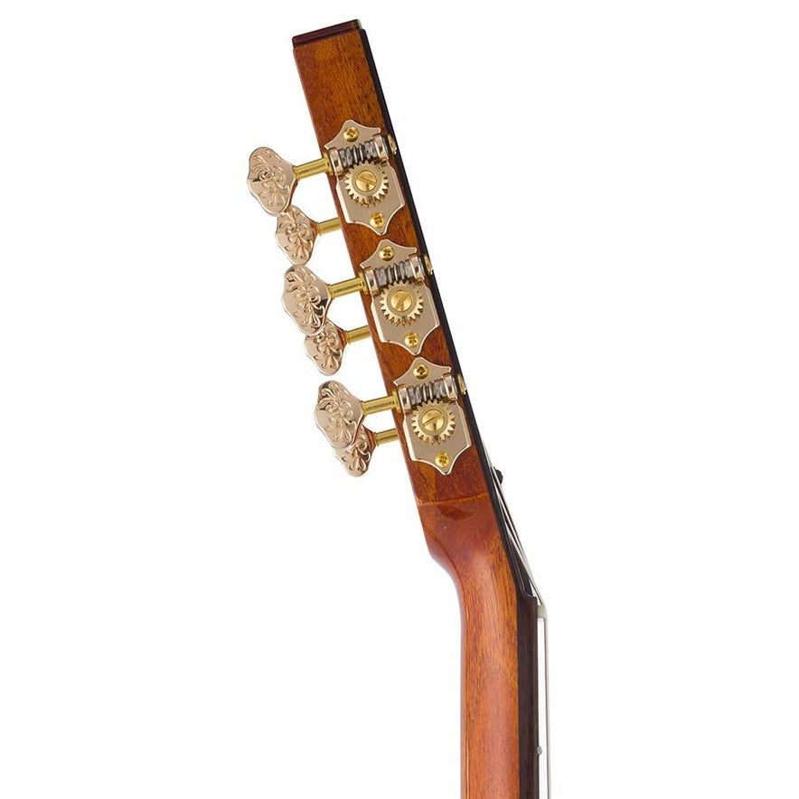 Bromo BEN2C Fusion Craft Series hollow body nylon
