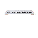 Arturia AstroLab 61 Silver Limited Edition Stage Keyboard