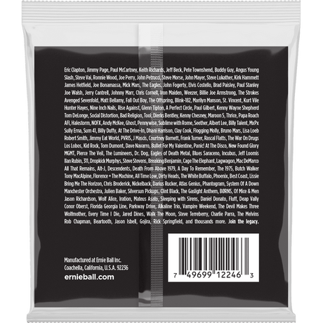 Ernie Ball 2246 Regular Slinky elektrische gitaarsnaren 010-046