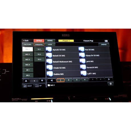 Korg Pa5X 61 ORIENTAL Arranger Keyboard met Aftertouch en Oosterse Sounds