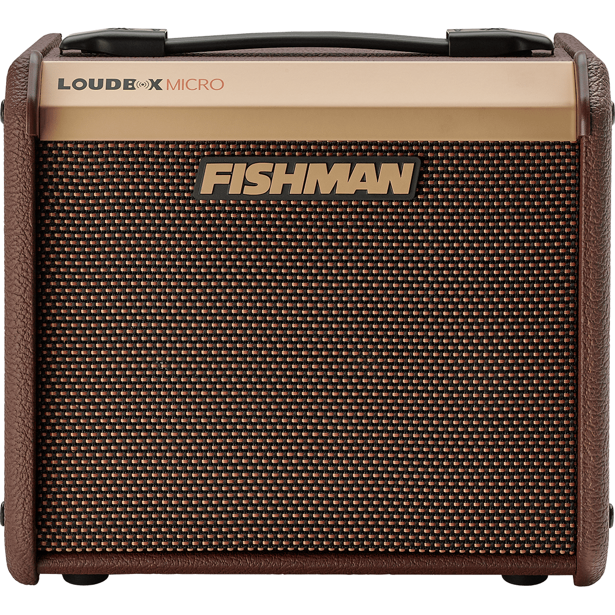 Fishman Loudbox Micro PRO-LBT-400 Akoestische Gitaarversterker - 40W