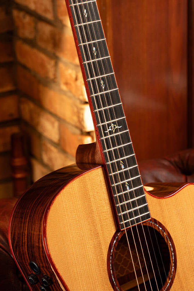 Cort Gold-A10 Cocobolo – Massief AAA Cocobolo, Torrefied Adirondack & Fishman Flex Blend