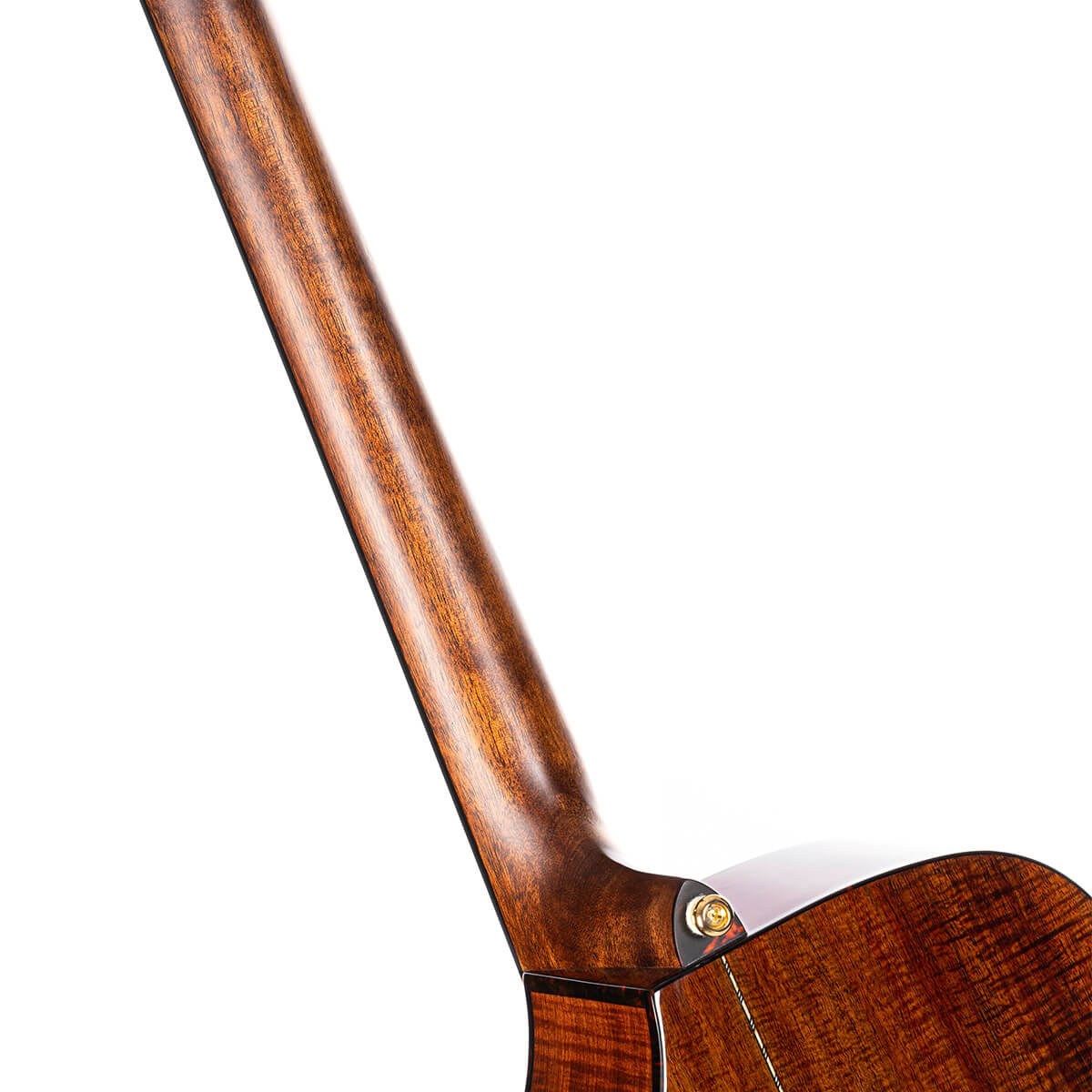 Cort Luxe II Frank Gambale Signature – Massieve Adirondack Top, Flamed Blackwood & Fishman Flex Blend