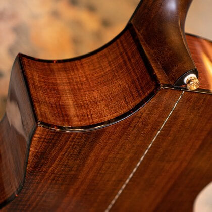 Cort Luxe II Frank Gambale Signature – Massieve Adirondack Top, Flamed Blackwood & Fishman Flex Blend