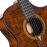 Cort Luxe Nylon Frank Gambale Signature – Massief Blackwood, Nylon Snaren & Fishman Flex Blend