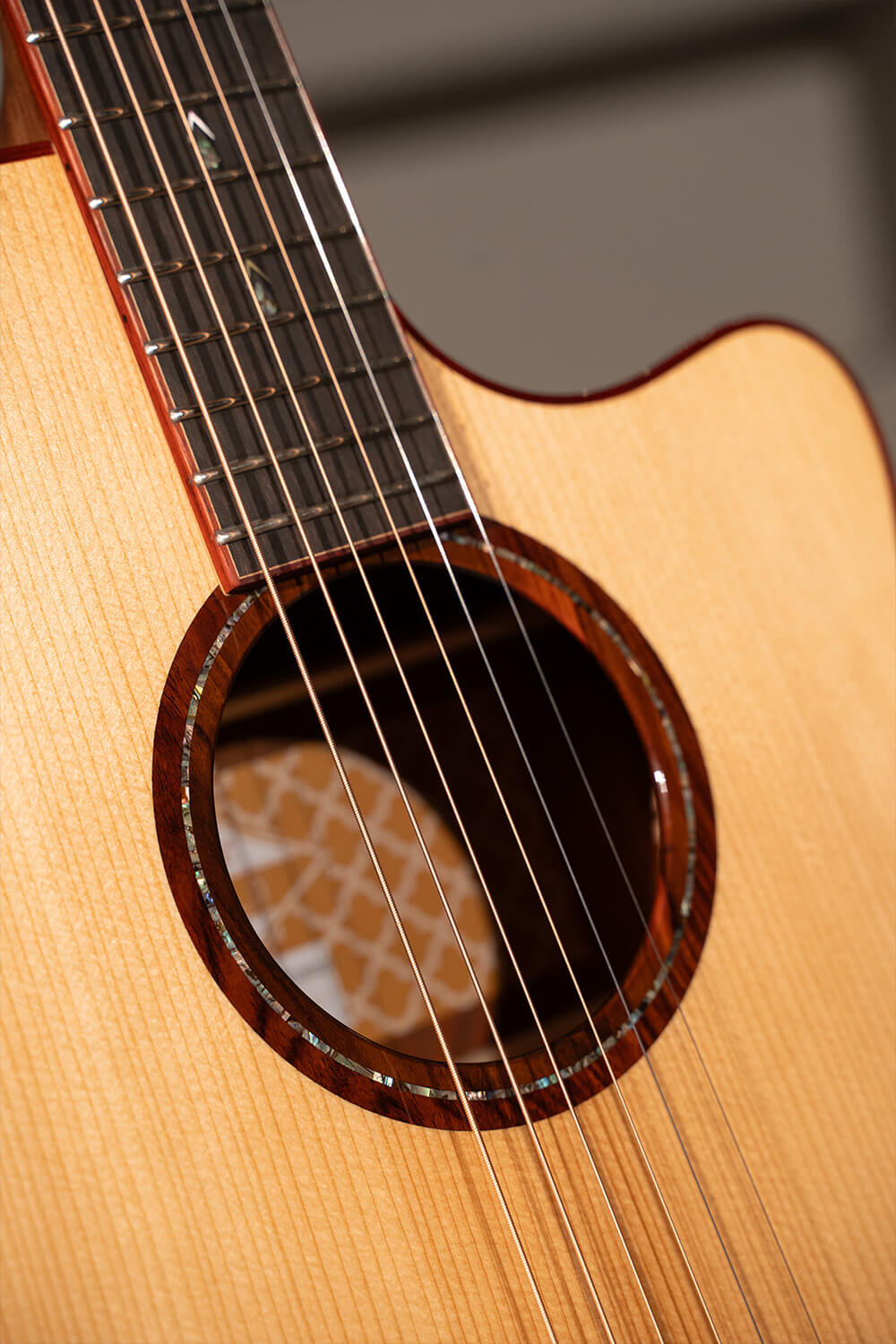 Cort Gold-A10 Cocobolo – Massief AAA Cocobolo, Torrefied Adirondack & Fishman Flex Blend