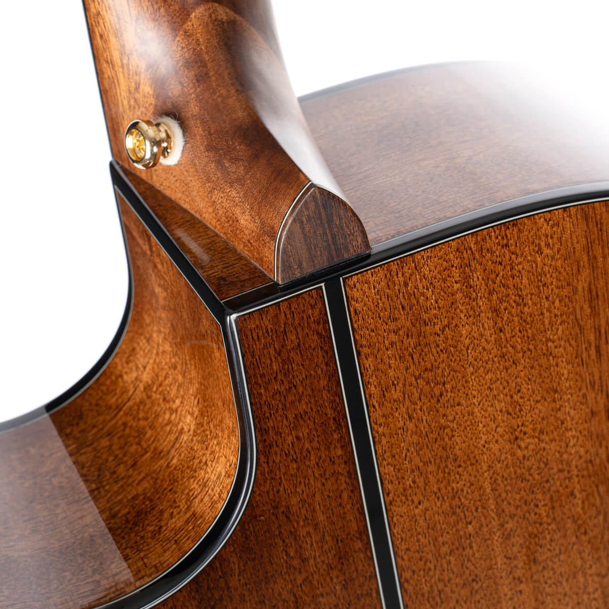Cort Gold-A6 – Massief Sitka, Mahonie & Fishman Flex Blend