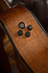 Cort Gold-DC6 – Massief Mahonie, Torrefied Sitka & Fishman Flex Blend