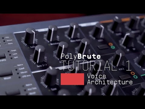 Arturia PolyBrute Noir – 61 Tasten, analog, Morphée-Controller, Bändchen, 6 Stimmen