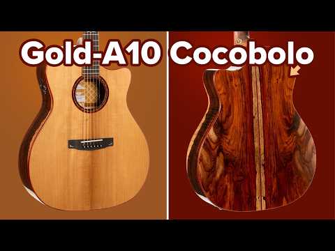 CORT Gold-A10 Cocobolo Grand Auditorium Cutaway Chitarra Elettro-Acustica Interamente in Legno Massello Naturale Lucido con Custodia