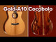 CORT Gold-A10 Cocobolo Grand Auditorium Cutaway Chitarra Elettro-Acustica Interamente in Legno Massello Naturale Lucido con Custodia