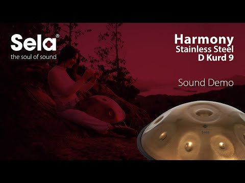 Sela SE 201 Handpan in acciaio inox D Kurd 440 Hz dorato fatto a mano con borsa imbottita