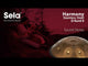 Sela SE 201 Handpan in acciaio inox D Kurd 440 Hz dorato fatto a mano con borsa imbottita