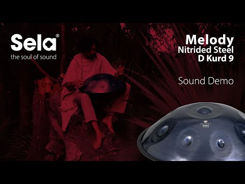 Sela SE 220 Handpan in acciaio nitrurato D Kurd 440 Hz blu scuro con borsa imbottita
