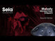 Sela SE 220 Handpan in acciaio nitrurato D Kurd 440 Hz blu scuro con borsa imbottita