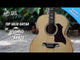 Bromo BAN7E Danali Series Jumbo Solid Top Acoustic Guitar Set Polyurethane High Gloss