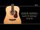 Chitarra acustica CORT Gold-D6 Dreadnought interamente in massello, colore naturale lucido, con custodia